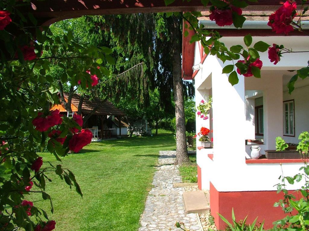 Guest House St. Maria Mariapocs Bagian luar foto