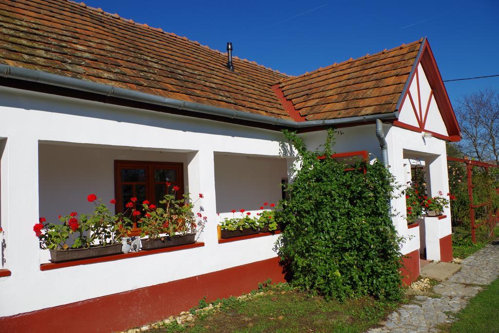 Guest House St. Maria Mariapocs Bagian luar foto
