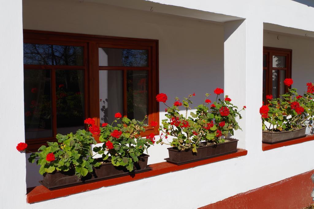 Guest House St. Maria Mariapocs Bagian luar foto